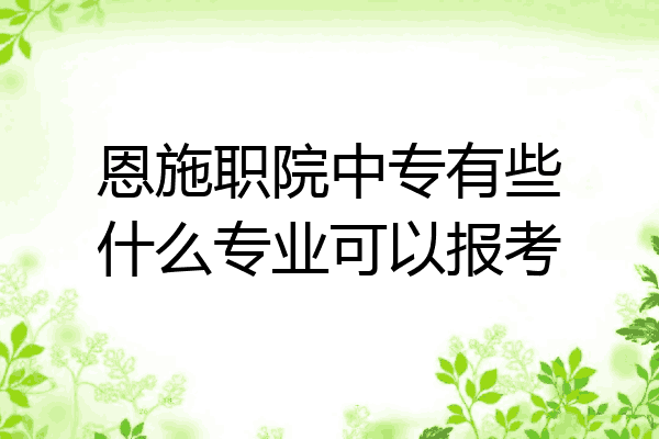 恩施职院中专有些什么专业可以报考