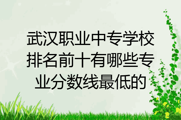 武汉职业中专学校排名前十有哪些专业分数线最低的