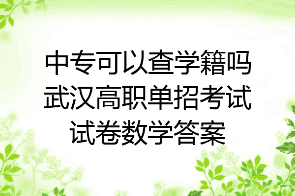 中专可以查学籍吗武汉高职单招考试试卷数学答案