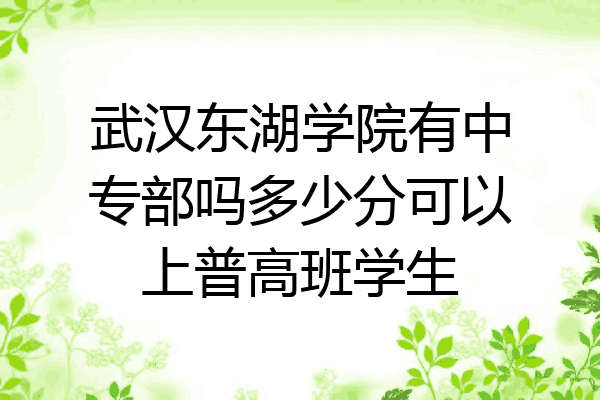 武汉东湖学院有中专部吗多少分可以上普高班学生