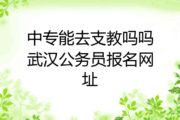 中专能去支教吗吗武汉公务员报名网址