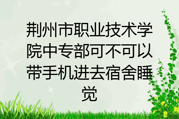 荆州市职业技术学院中专部可不可以带手机进去宿舍睡觉