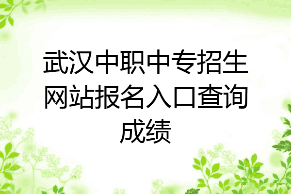 武汉中职中专招生网站报名入口查询成绩
