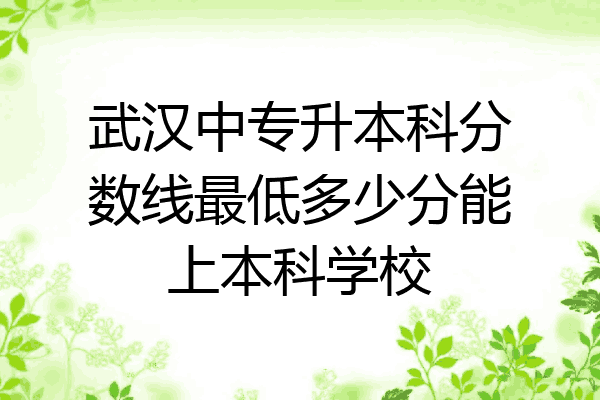 武汉中专升本科分数线最低多少分能上本科学校