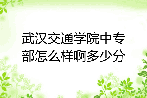 武汉交通学院中专部怎么样啊多少分