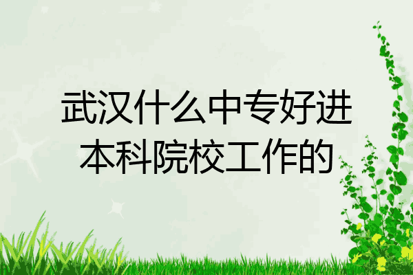 武汉什么中专好进本科院校工作的