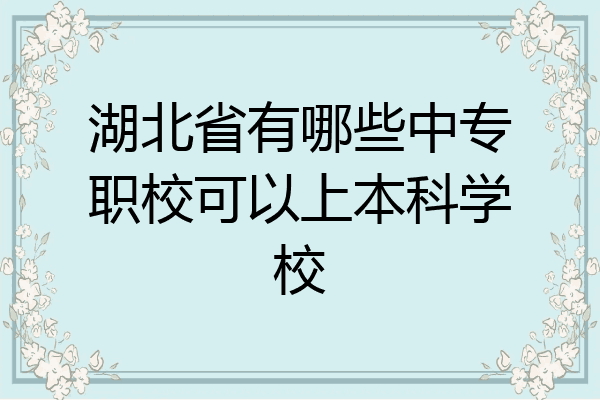 湖北省有哪些中专职校可以上本科学校