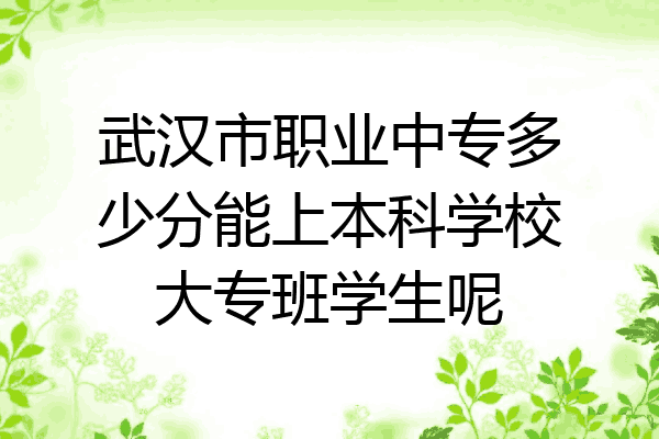 武汉市职业中专多少分能上本科学校大专班学生呢
