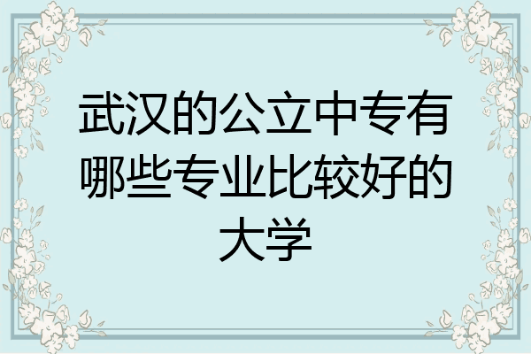 武汉的公立中专有哪些专业比较好的大学