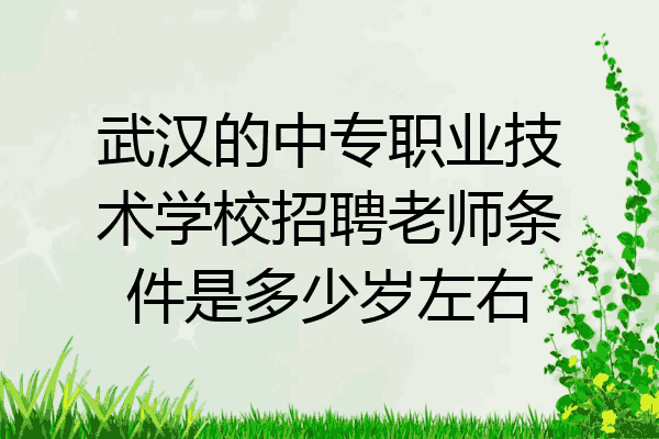武汉的中专职业技术学校招聘老师条件是多少岁左右