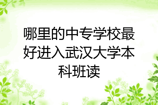 哪里的中专学校最好进入武汉大学本科班读