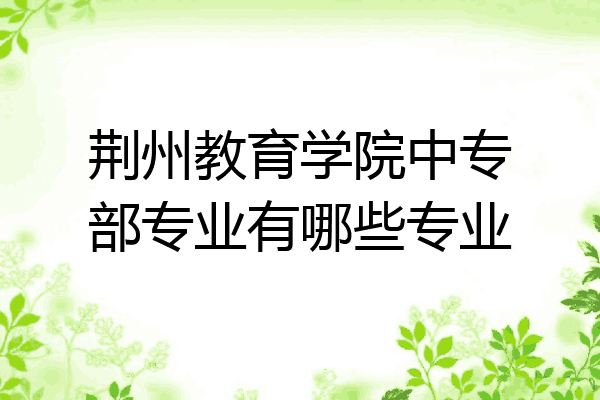 荆州教育学院中专部专业有哪些专业
