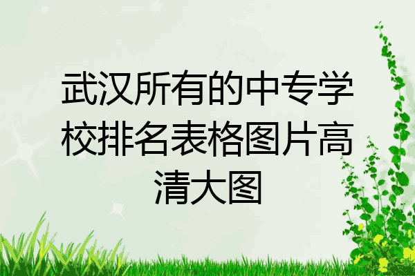 武汉所有的中专学校排名表格图片高清大图