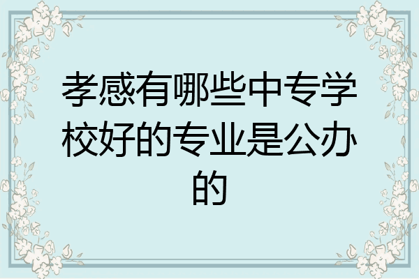 孝感有哪些中专学校好的专业是公办的