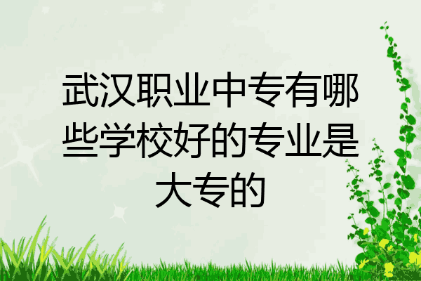 武汉职业中专有哪些学校好的专业是大专的