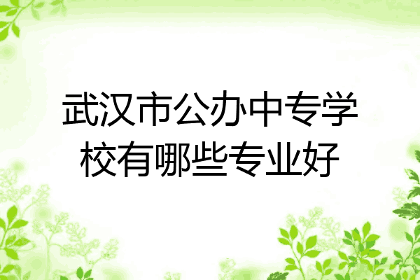 武汉市公办中专学校有哪些专业好