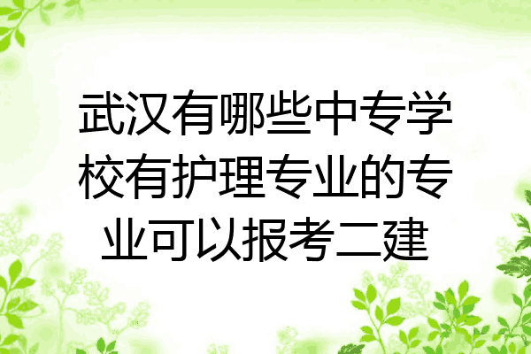 武汉有哪些中专学校有护理专业的专业可以报考二建