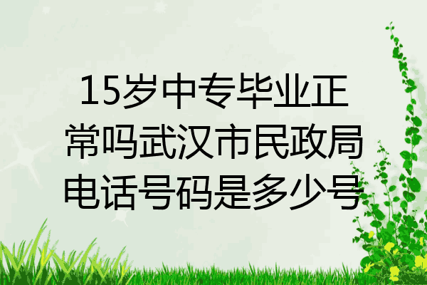 15岁中专毕业正常吗武汉市民政局电话号码是多少号