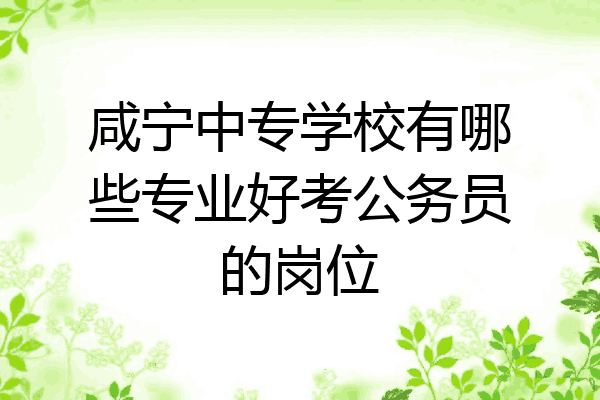 咸宁中专学校有哪些专业好考公务员的岗位