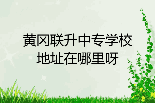 黄冈联升中专学校地址在哪里呀