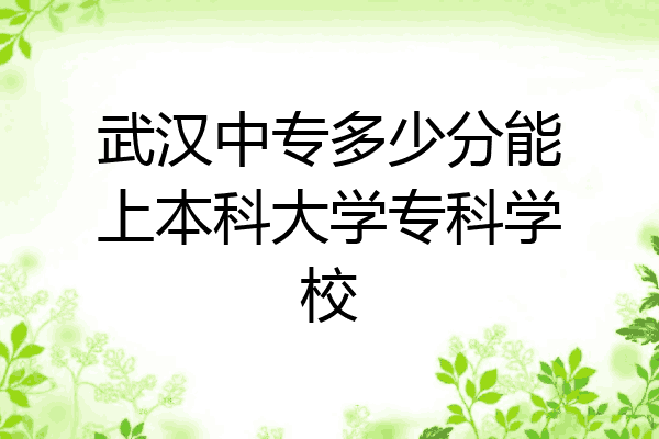 武汉中专多少分能上本科大学专科学校
