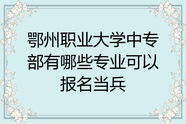 鄂州职业大学中专部有哪些专业可以报名当兵