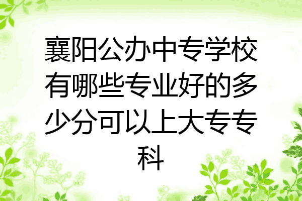 襄阳公办中专学校有哪些专业好的多少分可以上大专专科