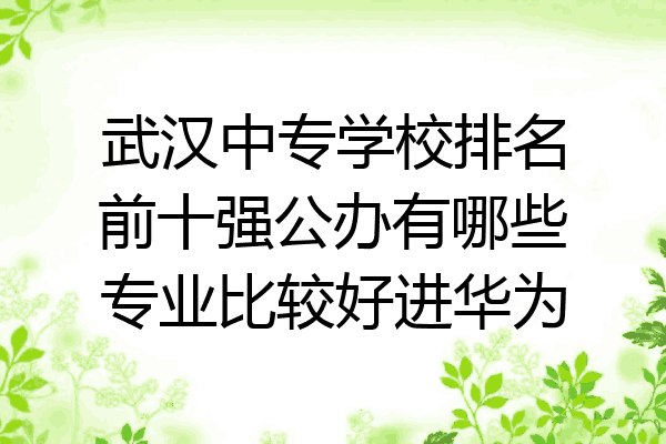 武汉中专学校排名前十强公办有哪些专业比较好进华为