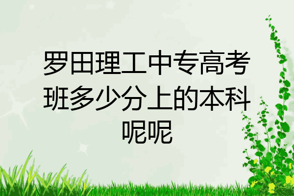 罗田理工中专高考班多少分上的本科呢呢