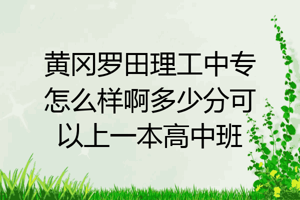 黄冈罗田理工中专怎么样啊多少分可以上一本高中班