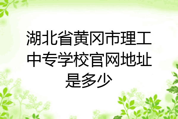 湖北省黄冈市理工中专学校官网地址是多少