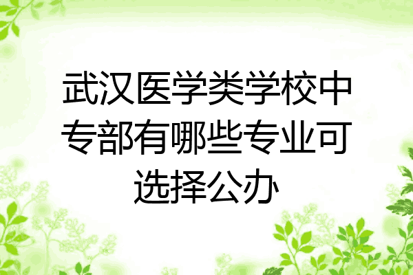 武汉医学类学校中专部有哪些专业可选择公办