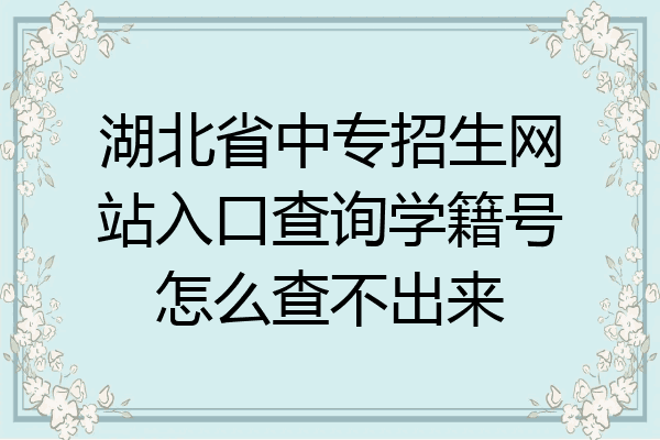 湖北省中专招生网站入口查询学籍号怎么查不出来