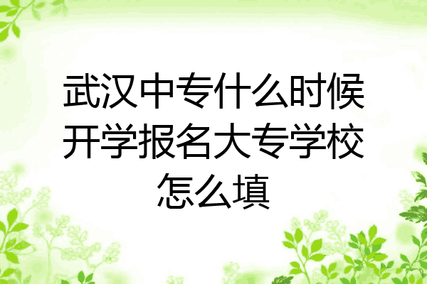 武汉中专什么时候开学报名大专学校怎么填