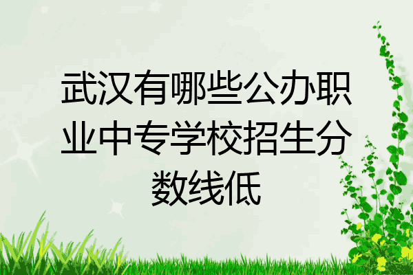武汉有哪些公办职业中专学校招生分数线低