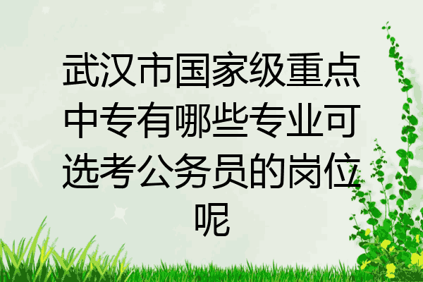 武汉市国家级重点中专有哪些专业可选考公务员的岗位呢