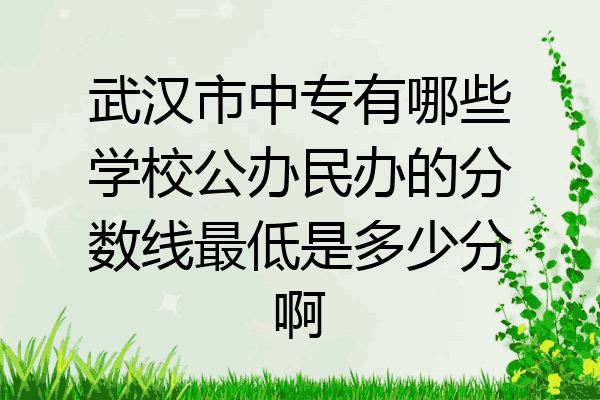 武汉市中专有哪些学校公办民办的分数线最低是多少分啊