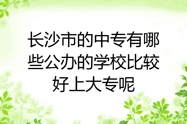 长沙市的中专有哪些公办的学校比较好上大专呢