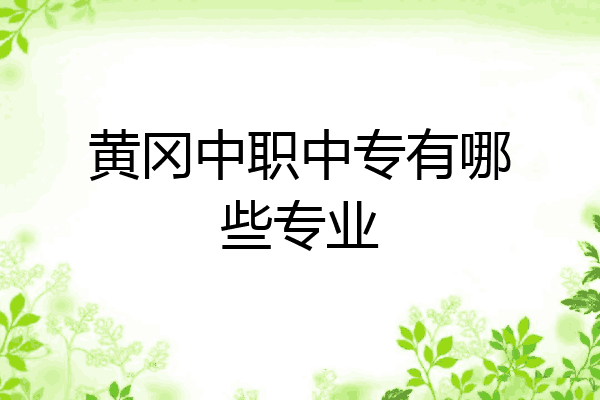黄冈中职中专有哪些专业