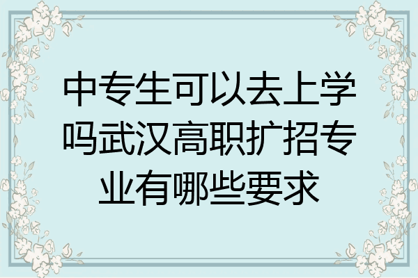 中专生可以去上学吗武汉高职扩招专业有哪些要求