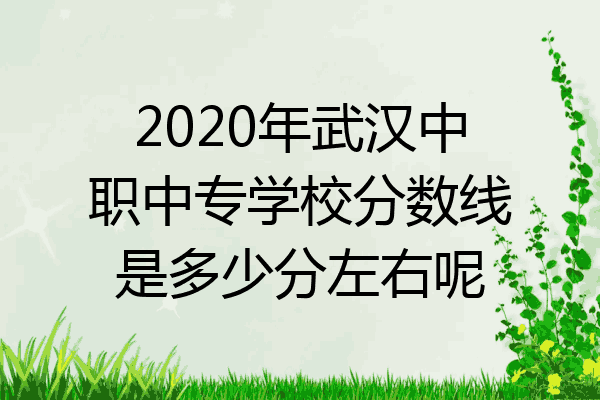 2020年武汉中职中专学校分数线是多少分左右呢