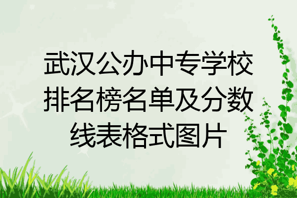 武汉公办中专学校排名榜名单及分数线表格式图片