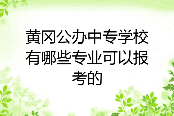 黄冈公办中专学校有哪些专业可以报考的
