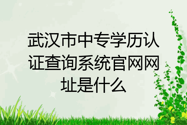 武汉市中专学历认证查询系统官网网址是什么