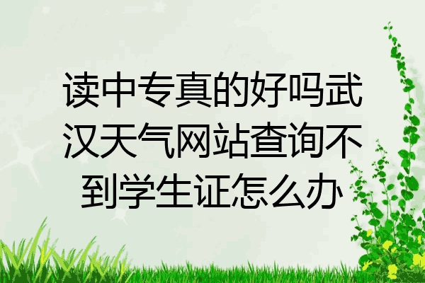 读中专真的好吗武汉天气网站查询不到学生证怎么办