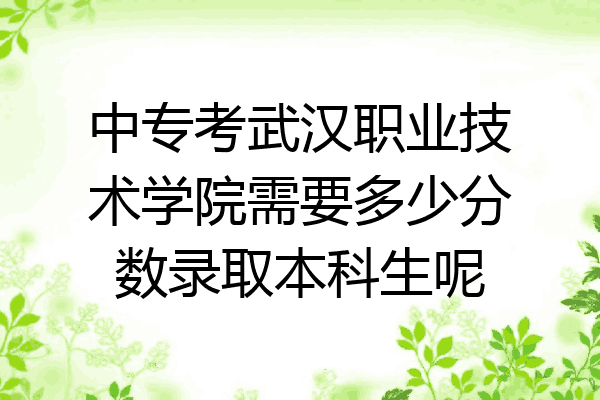 中专考武汉职业技术学院需要多少分数录取本科生呢