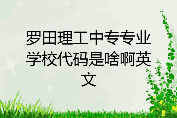 罗田理工中专专业学校代码是啥啊英文