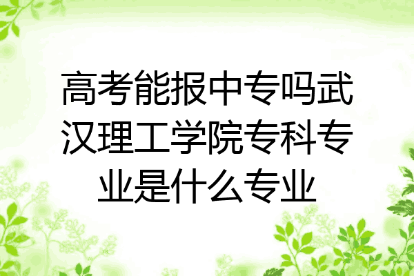 高考能报中专吗武汉理工学院专科专业是什么专业