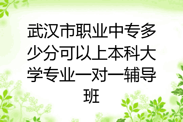 武汉市职业中专多少分可以上本科大学专业一对一辅导班