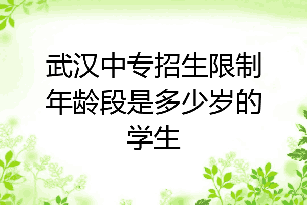 武汉中专招生限制年龄段是多少岁的学生